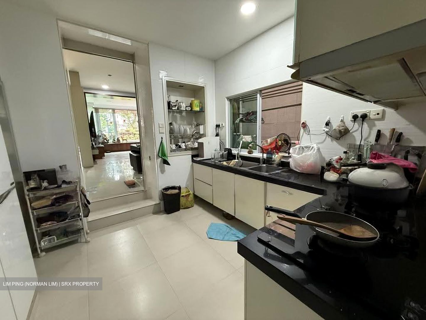 Lakepoint Condominium (D22), Condominium #617568251